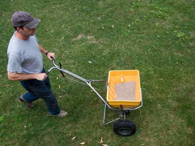 Grass Fertilizer Done Right for a Lush Lawn 